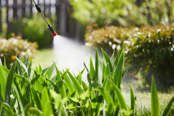24/7 Emergency Mosquito Control experts in Bon Air, VA