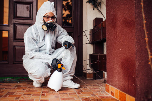 Reliable Mosquito Control contractor in Bon Air, VA by Show Me Pest Control