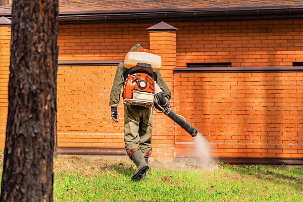 Top rated local Mosquito Control specialists in Bon Air, VA
